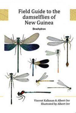 Field-Guide-to-the-Damselflies-of-New-Guinea