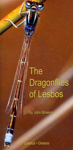 dragonflies-of-lesbos