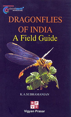 fg-dragonflies-of-India