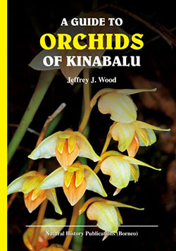 guide-orchids-of-kinabalu