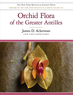 orchid-flora-of-greater-antillies