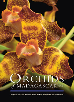 orchids-of-madagascar