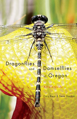 Dragonflies-and-Damselflies-of-Oregon