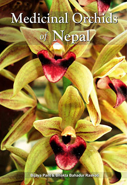 medicinal-orchids-of-nepal