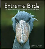 Extreme-Birds