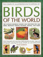 The-Complete-Illustrated-Encyclopedia-of-Birds-of-the-World