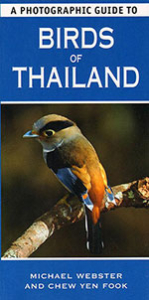 birds-of-thailand