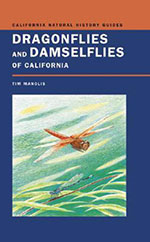 dragonflies-and-damselflies-of-california