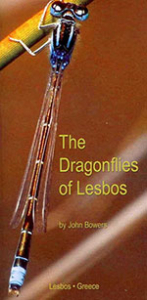 dragonflies-of-lesbos