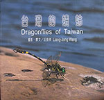 dragonflies-of-taiwan