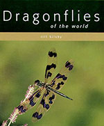 dragonflies-of-the-world
