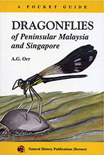 dragonflies-penimsular-malaysia-&-singapore
