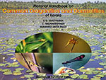 pictorial-handbook-on-common-dragonflies-and-damselflies-of-kerala